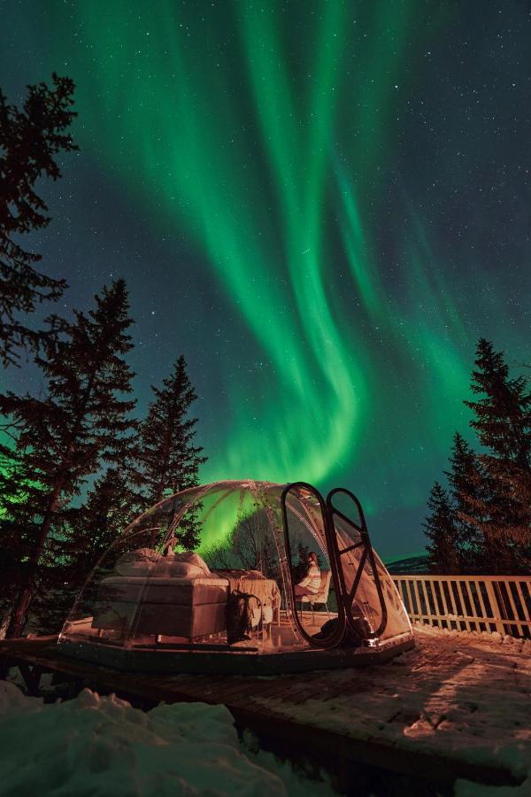 Yttervik Hotel Mo i Rana Luaran gambar